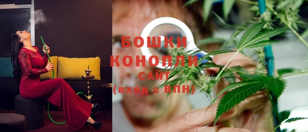 дмт Костерёво