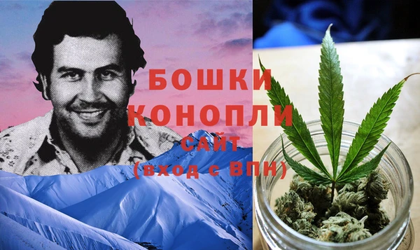 ПСИЛОЦИБИНОВЫЕ ГРИБЫ Краснослободск