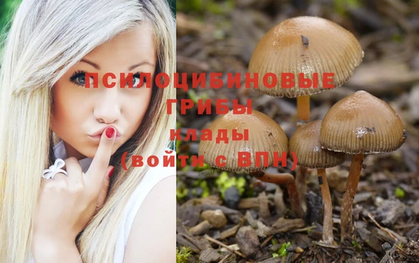 ALPHA-PVP Красноперекопск