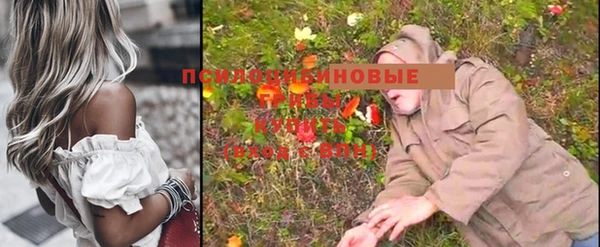 MESCALINE Коряжма