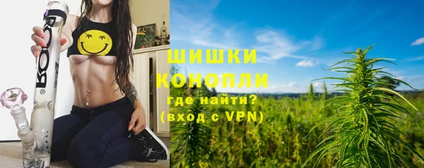 дмт Костерёво